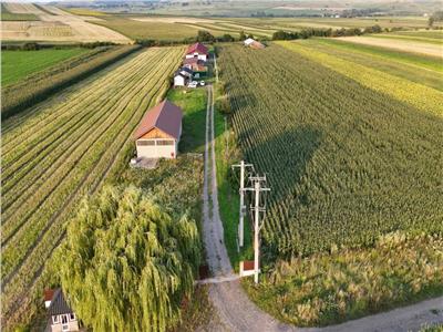 De vanzare | Ferma | Balaceana