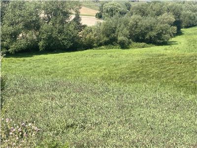 De Vanzare | Teren | Com. Moara | 8000mp